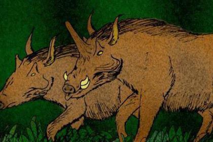 1000万年前的库班猪——长角的猪