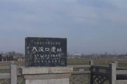 大汶口文化：中国新石器时代文化，因山东省泰安市大汶口遗址而得名