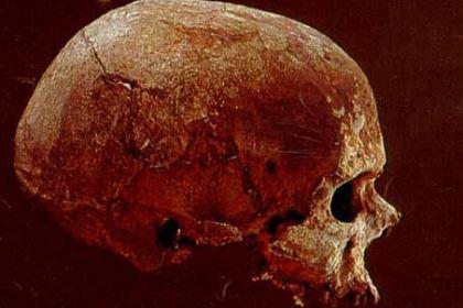 克罗马农人：距今3万年前欧洲大陆上一种寿命不长智慧较高的早期人类