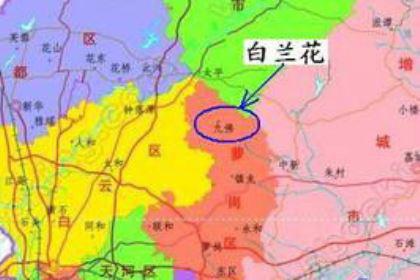 白兰国：青海省南部的一个丁零人所建立的政权