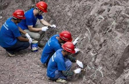 重庆现恐龙化石群是真的吗？重庆为何恐龙密集？