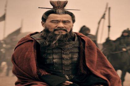 刘备病逝于白帝城，曹魏中有一大臣为何闷闷不乐？