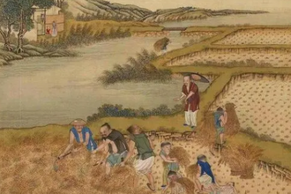 探索唐朝土地制度，当时的土地制度是如何发展的？