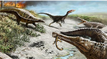 白垩纪是恐龙的巅峰时期，那么当时恐龙的品种有多少？
